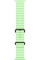 Умные часы Apple Watch Ultra 3 LTE 49 мм (титановый корпус, черный/салатовый, ремешок из эластомера)