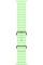 Умные часы Apple Watch Ultra 3 LTE 49 мм (титановый корпус, природный/салатовый, ремешок из эластомера)