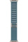Умные часы Apple Watch Ultra 3 LTE 49 мм (титановый корпус, природный/голубой, текстильный ремешок размера S)