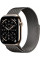 Умные часы Apple Watch Series 11 LTE 46 мм (титановый корпус, золотистый/сланец, миланская петля)