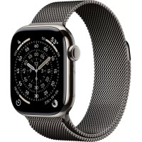 Умные часы Apple Watch Series 11 LTE 42 мм (титановый корпус, природный/сланец, миланская петля)
