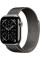 Умные часы Apple Watch Series 11 LTE 42 мм (титановый корпус, природный/сланец, миланская петля)