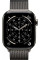 Умные часы Apple Watch Series 11 LTE 42 мм (титановый корпус, природный/сланец, миланская петля)