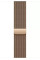 Умные часы Apple Watch Series 11 LTE 46 мм (титановый корпус, золотистый/золотистый, миланская петля)