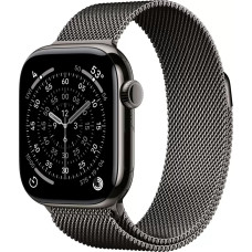 Умные часы Apple Watch Series 11 LTE 46 мм (титановый корпус, сланец/сланец, миланская петля)