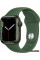 Умные часы Apple Watch Series 7 41 мм