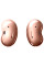 Гарнитура Samsung Galaxy Buds Live