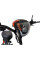 Электроскутер Kugoo Kirin EC 02