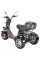 Электроскутер White Siberia CityCoco WS-Pro Trike 3000W 21Ah
