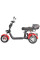 Электроскутер White Siberia CityCoco WS-Pro Trike 3000W 21Ah