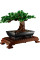 Конструктор LEGO Creator 10281 Бонсай