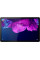 Планшет Lenovo Tab P11 5G TB-J607Z 8GB/256GB