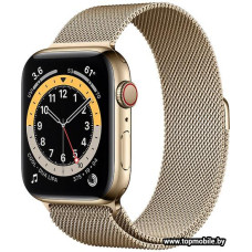 Смарт-часы Apple Watch Series 6 LTE 44mm Stainless Steel Gold (M09G3)