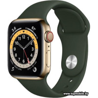 Смарт-часы Apple Watch Series 6 LTE 40mm Stainless Steel Gold (M06V3)