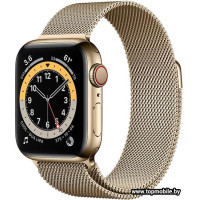 Смарт-часы Apple Watch Series 6 LTE 40mm Stainless Steel Gold (M06W3)