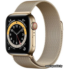 Смарт-часы Apple Watch Series 6 LTE 40mm Stainless Steel Gold (M06W3)