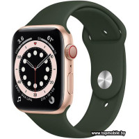 Смарт-часы Apple Watch Series 6 LTE 44mm Stainless Steel Gold (M09F3)