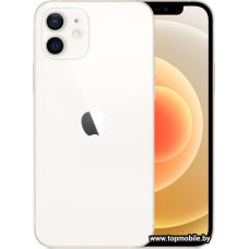 Apple iPhone 12 Dual SIM 128GB