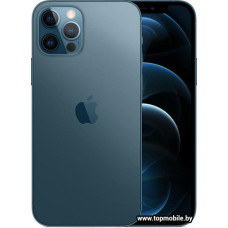 Apple iPhone 12 Pro Dual SIM 256GB