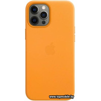 MagSafe Leather Case для iPhone 12 Pro Max