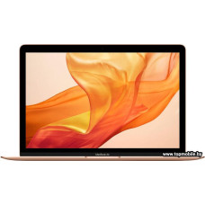 Apple MacBook Air 13 2019 MVFM2