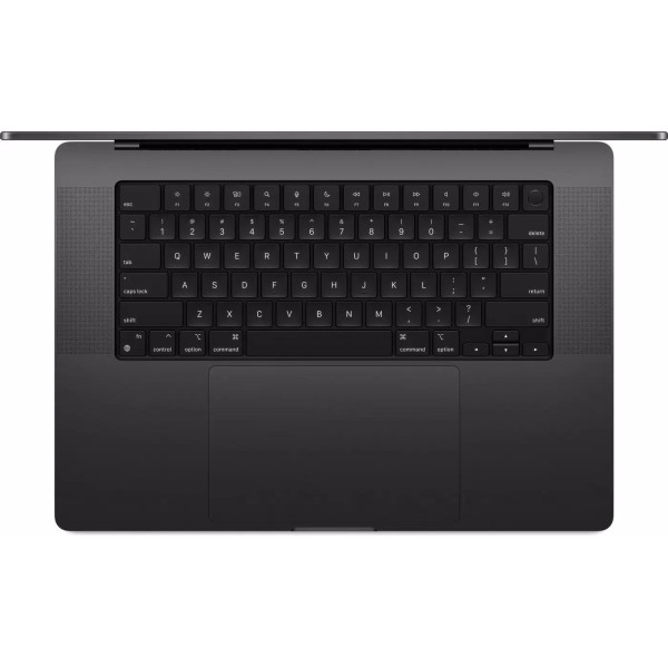Ноутбук Apple Macbook Pro 16.2" M4 Max 2024 MX313