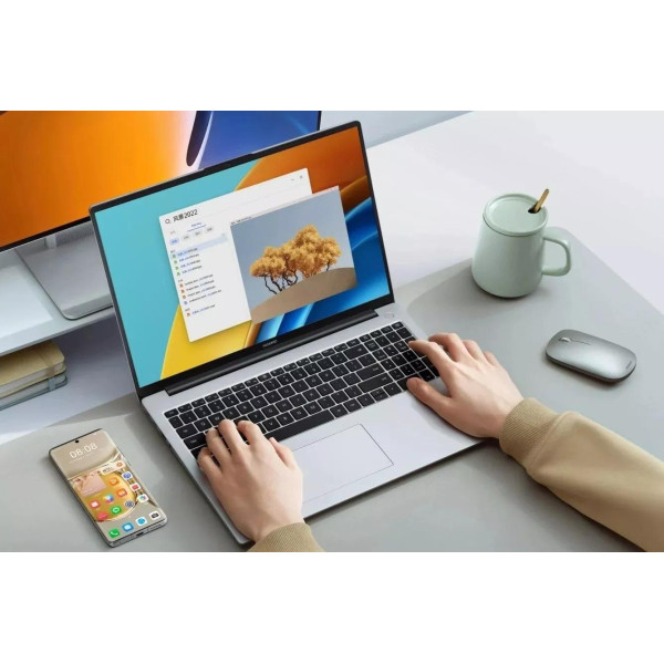 Ноутбук Huawei MateBook D 14 2023 MDF-X 53013XFA