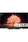 OLED телевизор LG OLED55B1RLA