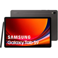 Планшет Samsung Galaxy Tab S9 5G SM-X716 12GB/256GB