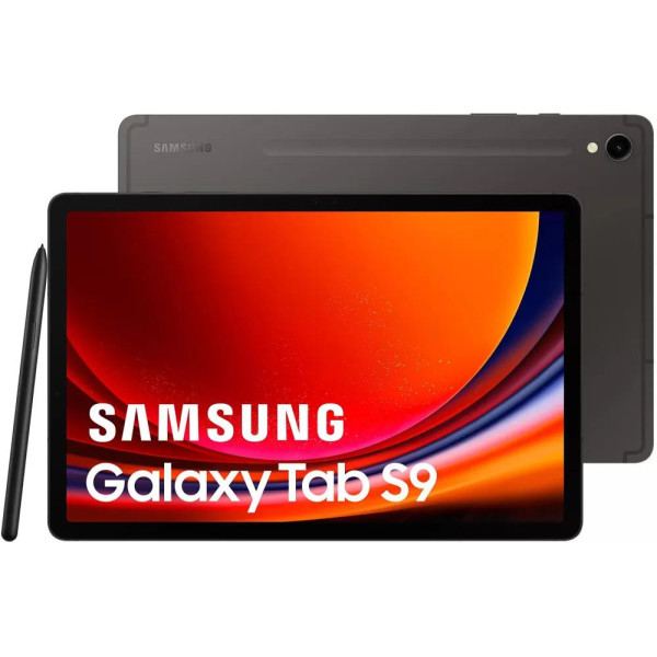 Планшет Samsung Galaxy Tab S9 5G SM-X716 12GB/256GB