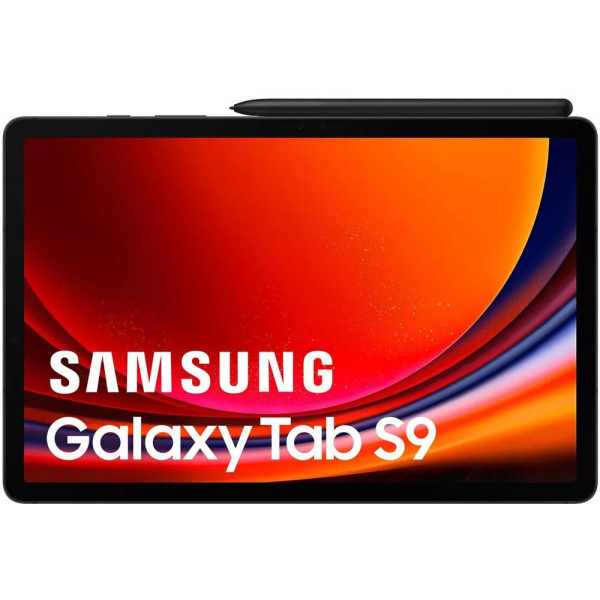 Планшет Samsung Galaxy Tab S9 5G SM-X716 12GB/256GB