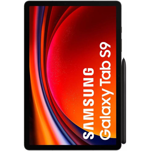 Планшет Samsung Galaxy Tab S9 5G SM-X716 12GB/256GB