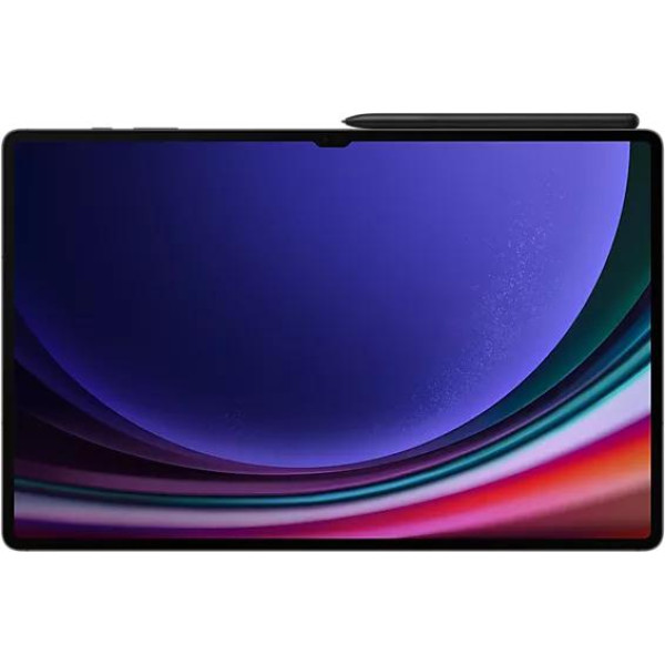 Планшет Samsung Galaxy Tab S9 Ultra 5G SM-X916 12GB/256GB