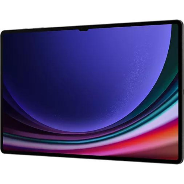 Планшет Samsung Galaxy Tab S9 Ultra 5G SM-X916 12GB/256GB