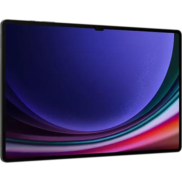 Планшет Samsung Galaxy Tab S9 Ultra 5G SM-X916 12GB/256GB