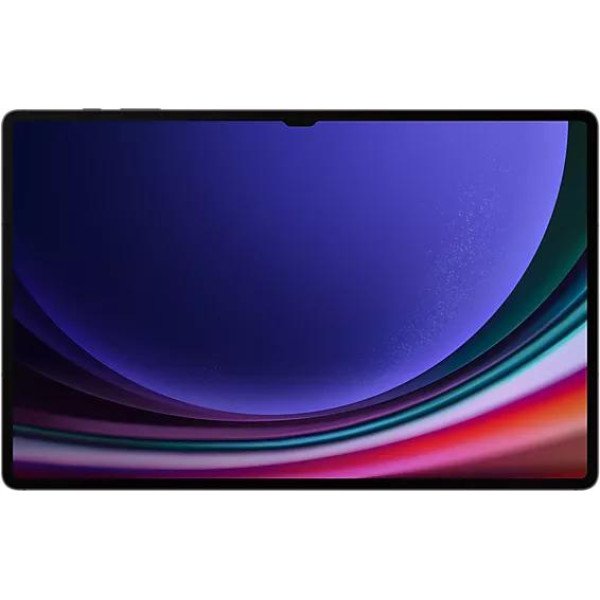 Планшет Samsung Galaxy Tab S9 Ultra 5G SM-X916 16GB/1TBGB