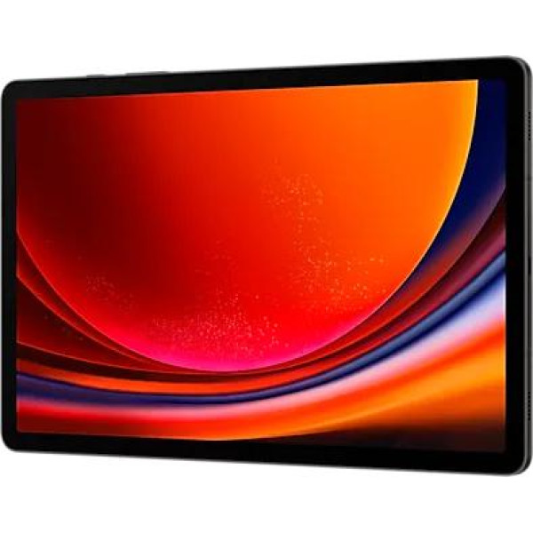 Планшет Samsung Galaxy Tab S9 Wi-Fi SM-X710 12GB/256GB