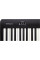 Цифровое пианино Roland FP-10