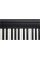 Цифровое пианино Roland FP-10