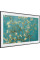Телевизор Samsung LS03BG QE75LS03BGUXXH