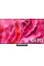 Телевизор Samsung OLED 4K S90C QE55S90CAUXRU
