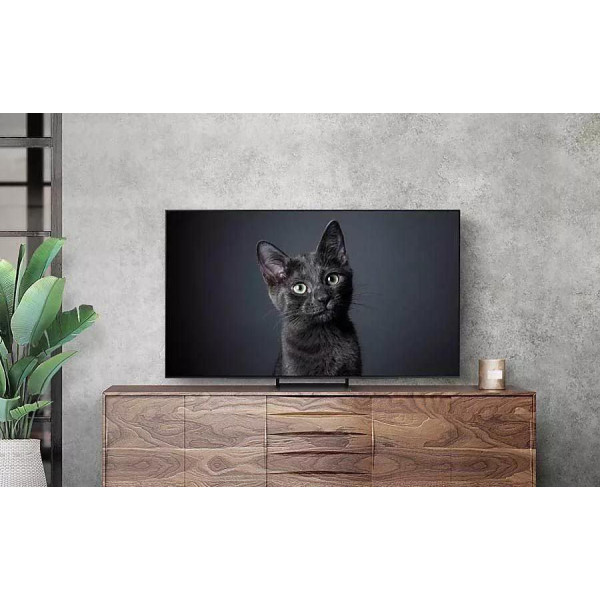 Телевизор Samsung OLED 4K S90C QE55S90CAUXRU