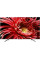 Телевизор Sony KD-65XG8577