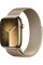 Apple Watch Series 9 LTE 45 мм (корпус из нержавеющей стали, золото/миланский золотистый) Apple Watch Series 9 LTE 45 мм (корпус из нержавеющей стали, золото/миланский золотистый)