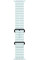 Умные часы Apple Watch Ultra 2 LTE 49 мм (титановый корпус, черный/светло-голубой, ремешок из эластомера)