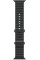Apple Watch Ultra 2 LTE 49 мм (титановый корпус, титановый/черный, ремешок из эластомера)