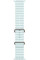 Умные часы Apple Watch Ultra 2 LTE 49 мм (титановый корпус, титановый/светло-голубой, ремешок из эластомера)