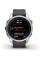Умные часы Garmin Fenix 7S Pro Solar (серебро/графит)