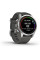 Умные часы Garmin Fenix 7S Pro Solar (серебро/графит)