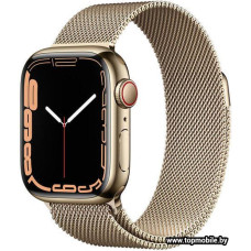 Смарт-часы Apple Watch Series 7 41mm LTE Stainless Steel золотистый